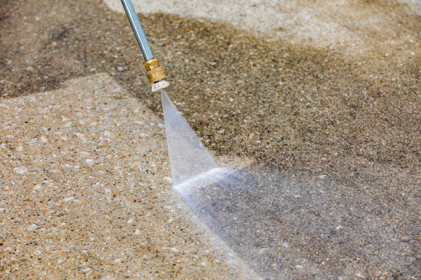 Best Animal Enclosure Cleaning  in Townsend, MT